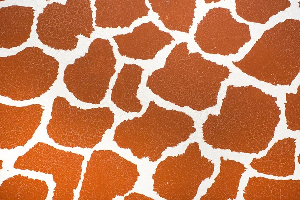 Peau de girafe — Photo