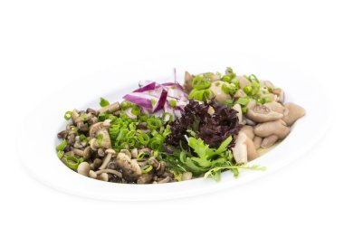 çeşitli mantar soğan ile