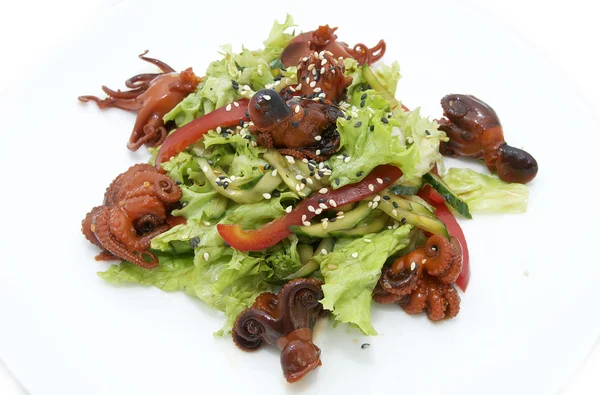 Salad of octopus and cabbage leaves — Stock Photo, Image