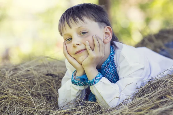 Boy on a summer nature — Stock Photo, Image