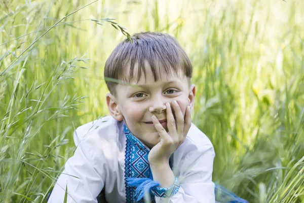 Menino em uma natureza de verão — Fotografia de Stock