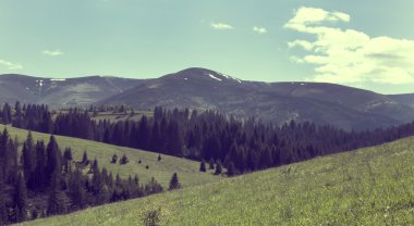 Yaz dağı manzarası