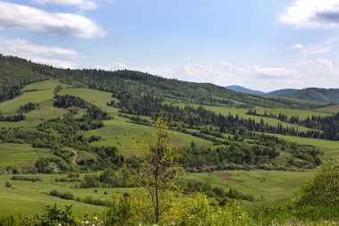 Yaz dağı manzarası