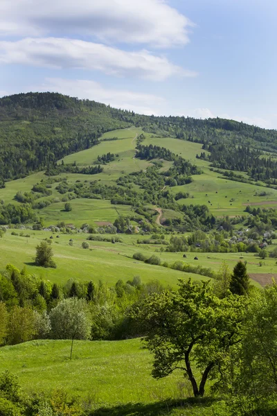 Zomer berglandschap — Stockfoto