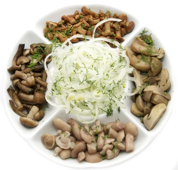 Plate of marinated mushrooms — Stock Photo, Image