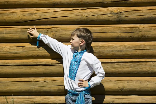 Pojke på en sommar natur — Stockfoto