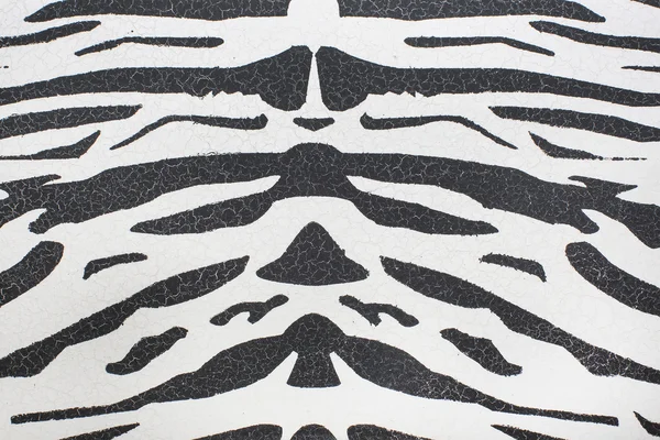 Zebra skin — Stock Photo, Image