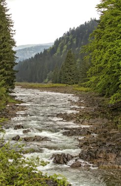 dağlar ağaçlar ve Nehri ön