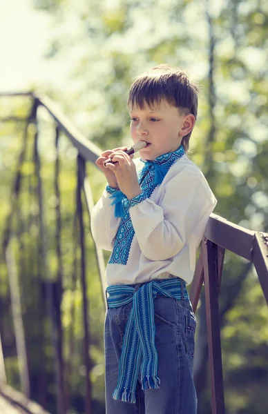 Jongen op een zomer aard — Stockfoto