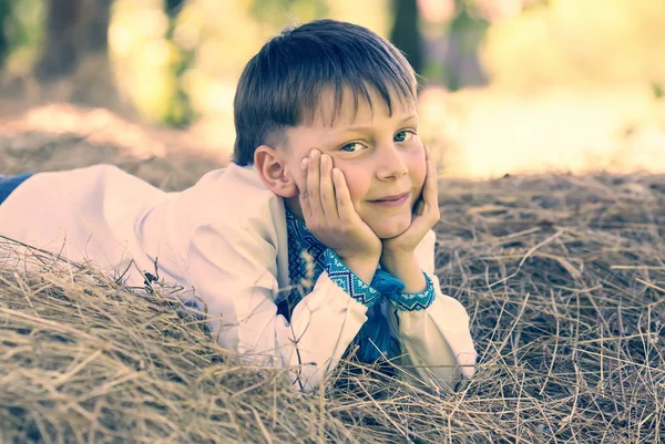 Ragazzo su una natura estiva — Foto Stock