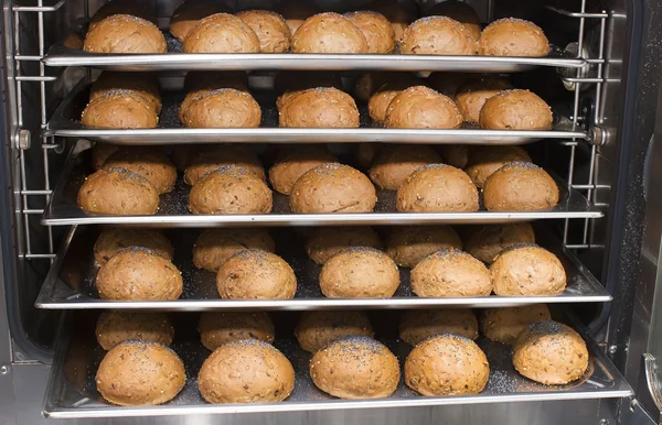 Rye bread rolls — Stock Photo, Image
