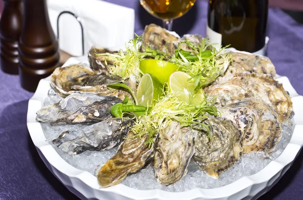 Oysters on ice in a dish — Stock Photo, Image