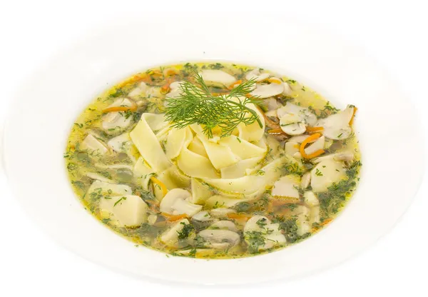 Suppe aus Gemüse und Pilzen — Stockfoto