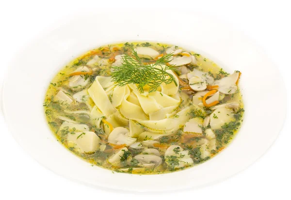 Suppe aus Gemüse und Pilzen — Stockfoto