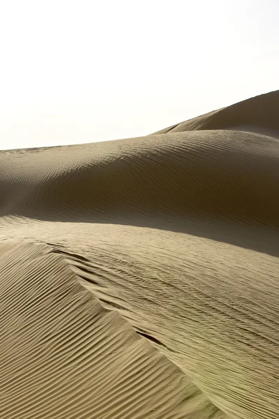 African desert — Stock Photo, Image