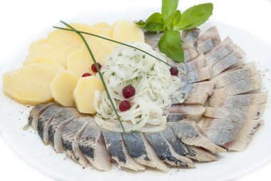 ringa balığı tabağı