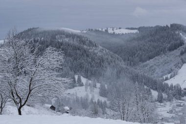 Winter landscape Carpathians snowy mountains and forests.