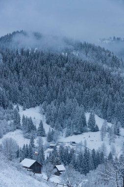 Winter landscape Carpathians snowy mountains and forests.