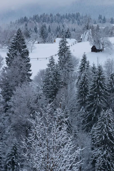 Winter Landscape Carpathians Snowy Mountains Forests — Zdjęcie stockowe