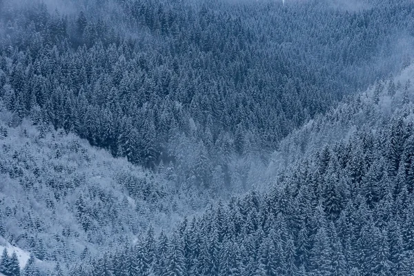 Winter Landscape Carpathians Snowy Mountains Forests — Zdjęcie stockowe