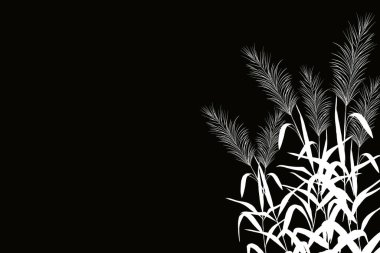 Kamışlı veya bastonlu vektör el çizimi.