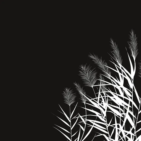 Silhouette Noire Des Roseles Illustration Vectorielle Sedge Canne Scirpe Herbe — Image vectorielle