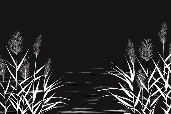 Black Silhouette Reeds Vector Illustration Sedge Cane Bulrush Grass White — Stock Vector