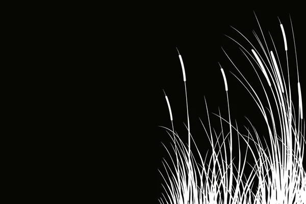 Silhouette Noire Des Roseles Illustration Vectorielle Sedge Canne Scirpe Herbe — Image vectorielle