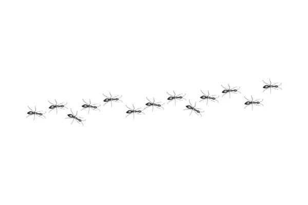 Una Colonia Hormigas Obreras Bosquejo Dibujado Hormigas Rojas Allanando Camino — Vector de stock