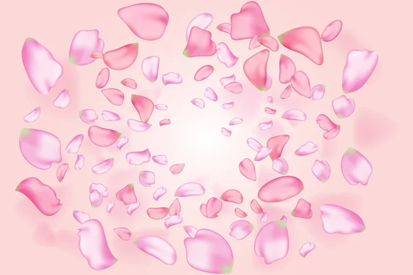 桜の花びらと花を落とすピンク — ストックベクタ