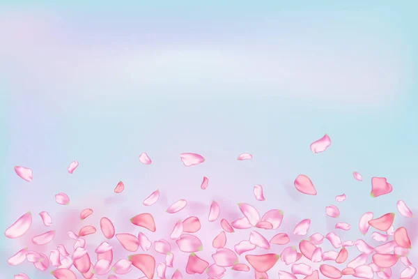 Natur Horizontal Hintergrund Rosa Fallenden Sakura Blütenblätter Und Blumen — Stockvektor