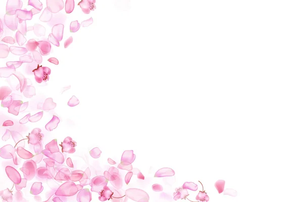 桜の花びらと花を落とすピンク — ストックベクタ
