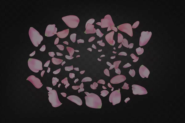 Fondo Horizontal Naturaleza Pétalos Flores Sakura Color Rosa — Vector de stock