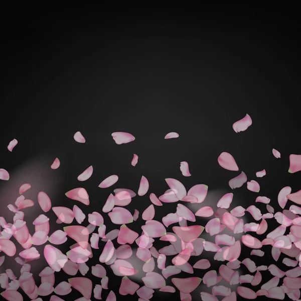 自然の水平黒の背景ピンクの桜の花びら — ストックベクタ