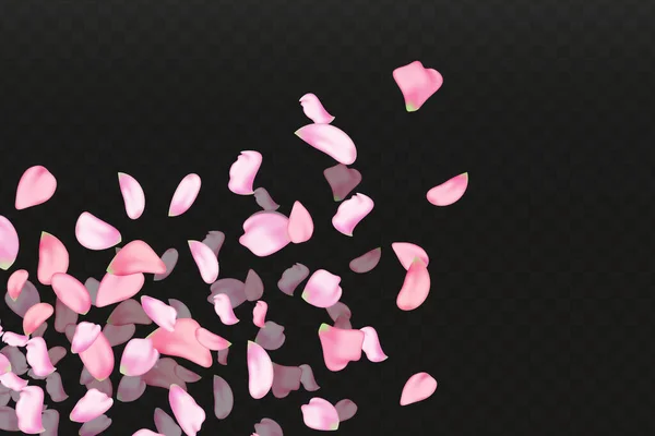 Pink falling sakura petals.Nature horizontal black background. — Stock Vector