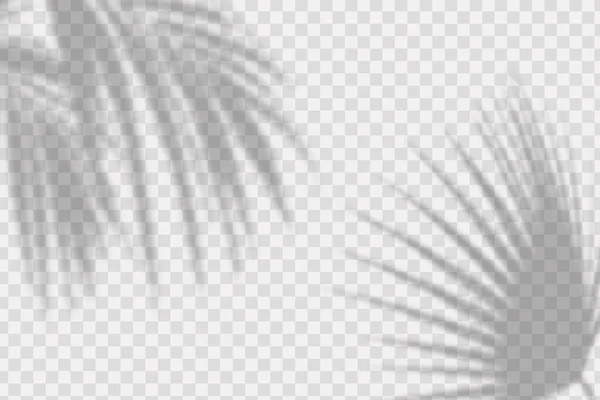 Realistischer Schatten Von Palmenblättern Und Zweigen Auf Transparent Kariertem Hintergrund — Stockvektor