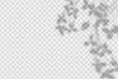 Gölgelerin etkisi. Doğal ışık düzeni.