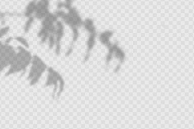 he effect of overlaying shadows. Natural light layout.