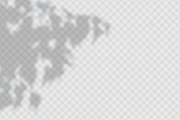 Реалістична тінь тропічні листя і гілки на прозорому картатому фоні . — стоковий вектор