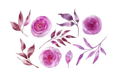 Çiçek ve yeşil yapraklar. Çiçek elementleri seti. Düğün konsepti. Kutlama kartı veya davetiye tasarımı için vektör düzenlemeleri.