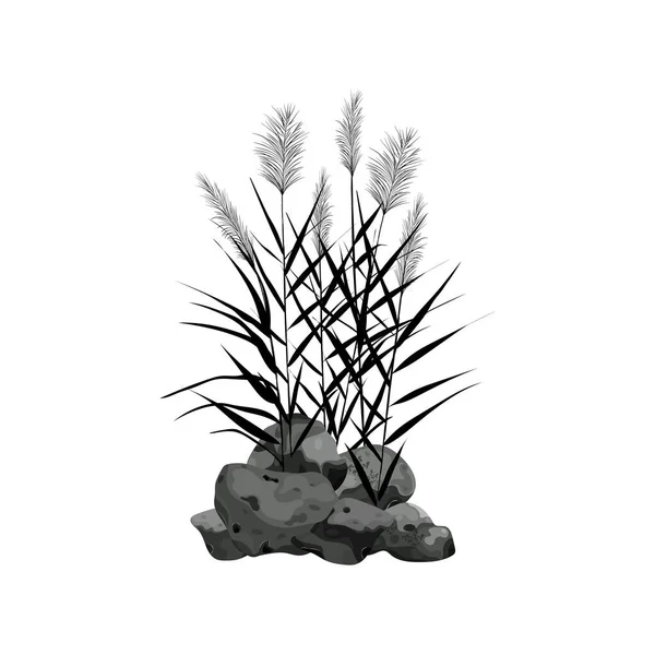 Silueta negra de cañas, junco, piedra, caña, junco o hierba sobre un fondo blanco.Ilustración vectorial. — Archivo Imágenes Vectoriales