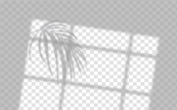 Efeito Sobreposição Sombras Layout Luz Natural Sombra Realista Folhas Tropicais — Vetor de Stock