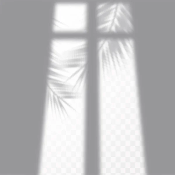 Ombra realistica di foglie tropicali o rami su sfondo a scacchi trasparente. L'effetto della sovrapposizione di ombre. Layout luce naturale. — Vettoriale Stock
