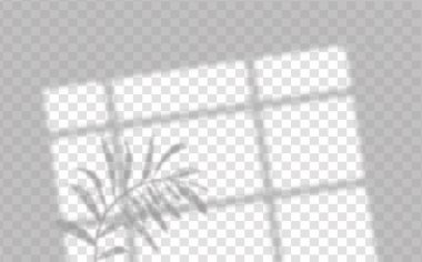 The effect of overlaying shadows. Natural light layout.Realistic shadow of tropical leaves or branches on transparent checkered background. clipart