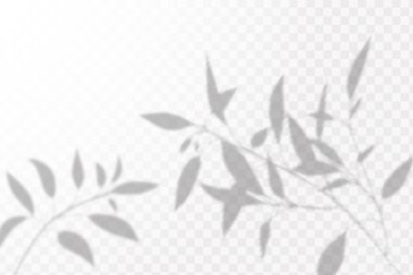 Gölgelerin etkisi. Doğal ışık düzeni. Şeffaf kareli arka planda tropikal yaprakların gerçekçi gölgesi veya dalları.