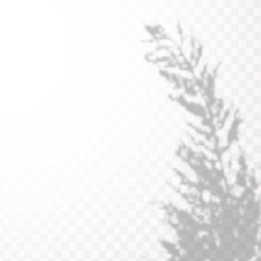 Gölgelerin etkisi. Doğal ışık düzeni. Şeffaf kareli arka planda tropikal yaprakların gerçekçi gölgesi veya dalları.