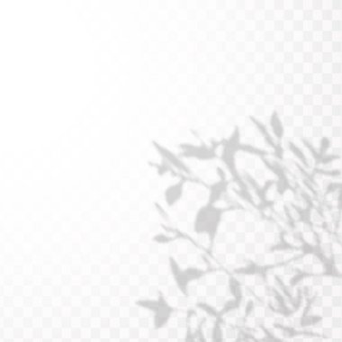 Gölgelerin etkisi. Doğal ışık düzeni. Şeffaf kareli arka planda gerçekçi tropik yapraklar ve dallar..