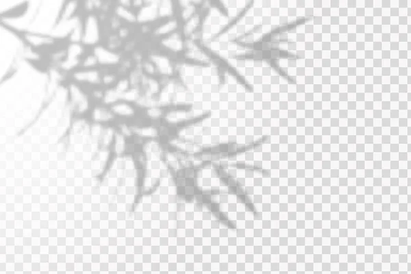 覆盖阴影的效果 现实的阴影热带树叶和分枝在透明而交错的背景上 — 图库矢量图片