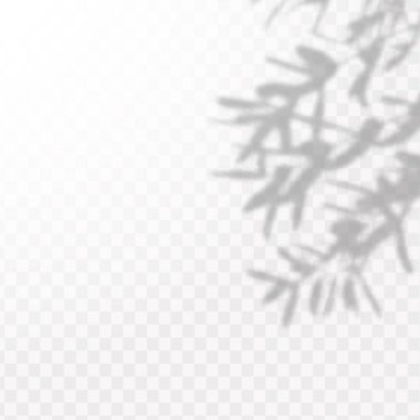 Gölgelerin etkisi. Doğal ışık düzeni. Şeffaf kareli arka planda gerçekçi tropik yapraklar ve dallar..