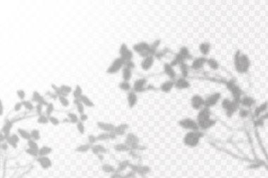 Gölgelerin örtülmesinin etkisi. Şeffaf kareli arka planda gerçekçi tropikal yapraklar ve dallar. Doğal ışık düzeni.